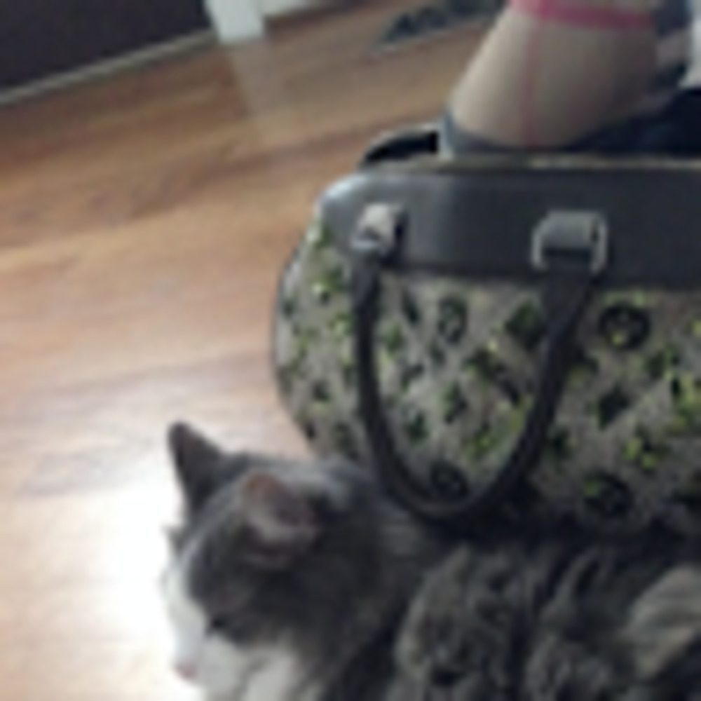 Meet your Posher, Ms. m